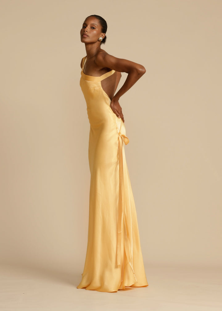 AVEEKO - ELEGANT SATIN CURVE DRESS